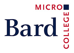 bard micro logo